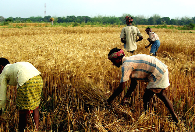 खरीफ-2017 के ऋण चुकाने की अवधि 30 जून तक बढ़ाई